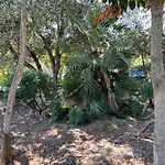 Wunderschoene Finca Alcudia Mit Wlan Und Heizung