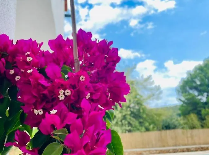 Wunderschoene Finca Alcudia Mit Wlan Und Heizung